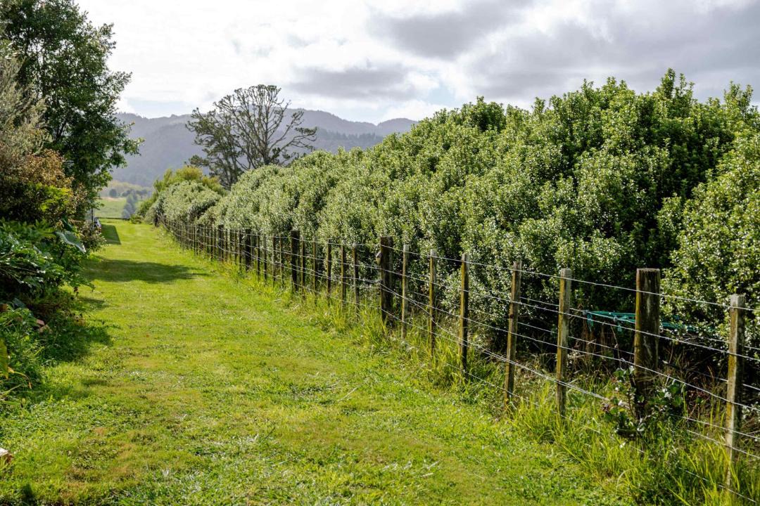 Photo of Others in Whangarei