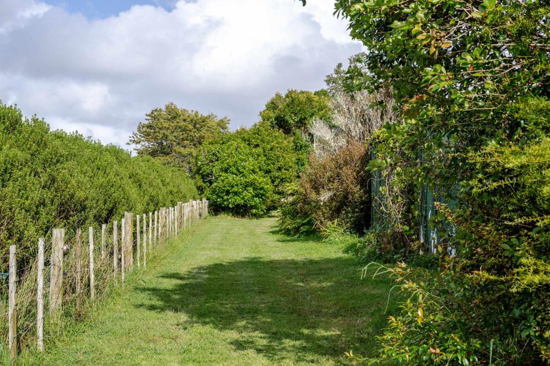 Photo of Others in Whangarei