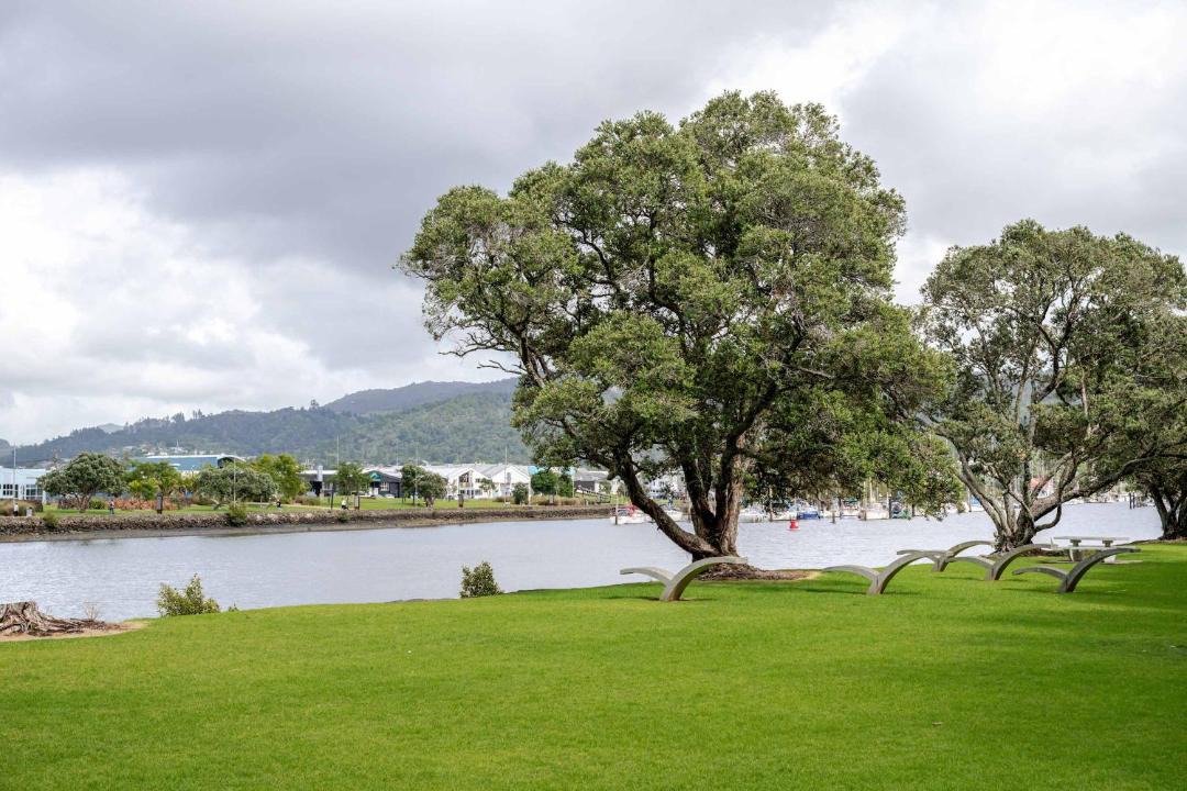 Photo of Others in Whangarei