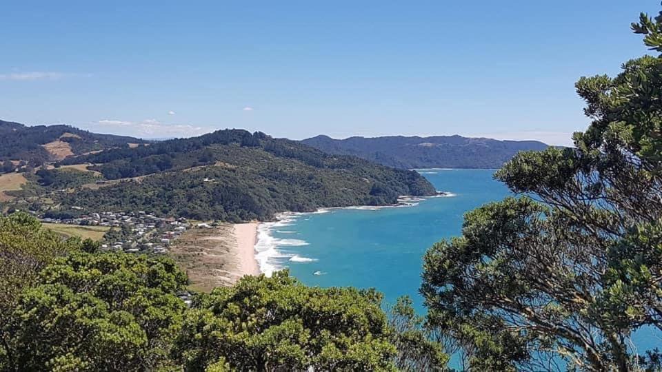 Photo of Others in Tairua
