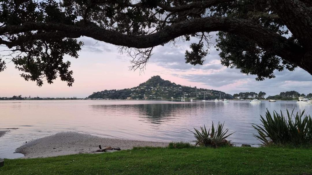 Photo of Others in Tairua