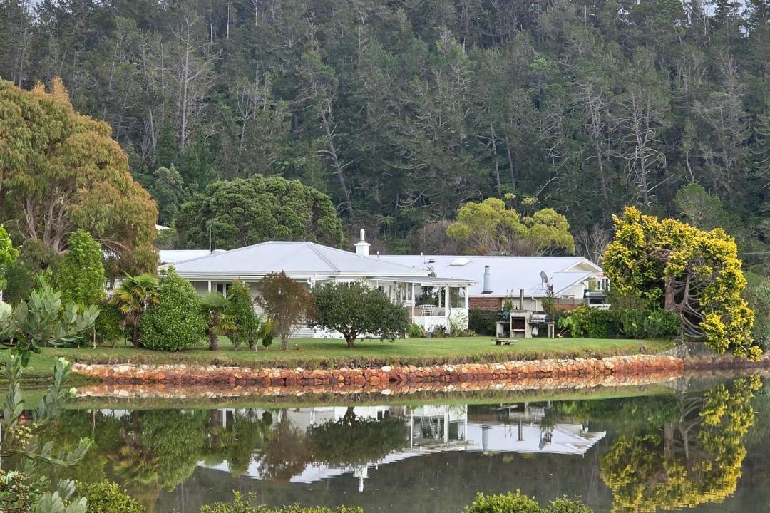 Photo of Others in Tairua