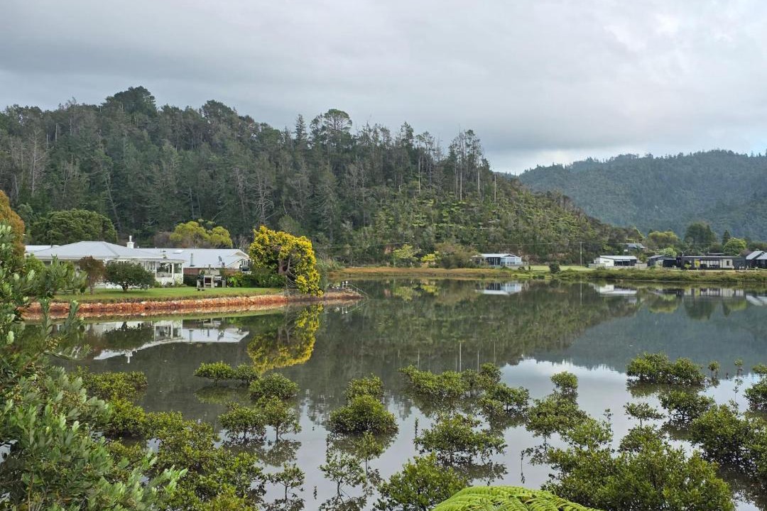 Photo of Others in Tairua