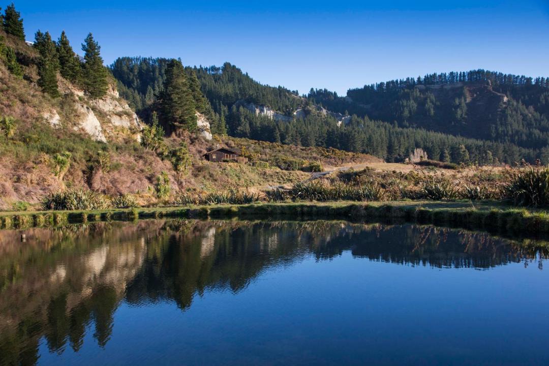 Photo of Others in Methven