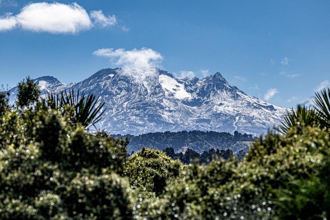 Photo of Others in Ohakune
