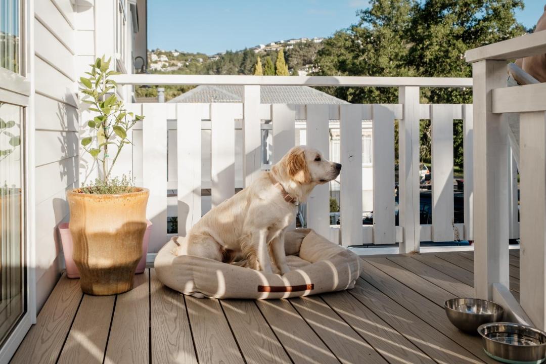 Photo of Patio Balcony in Christchurch