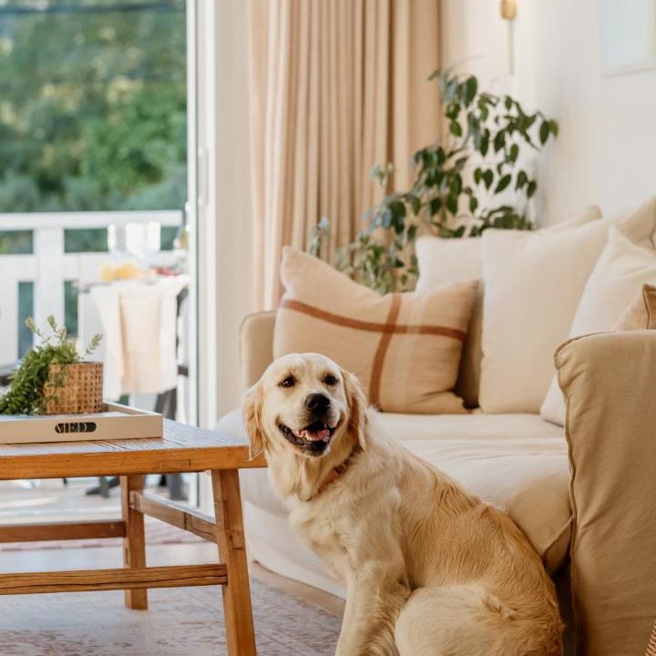 Photo of Livingroom in Christchurch