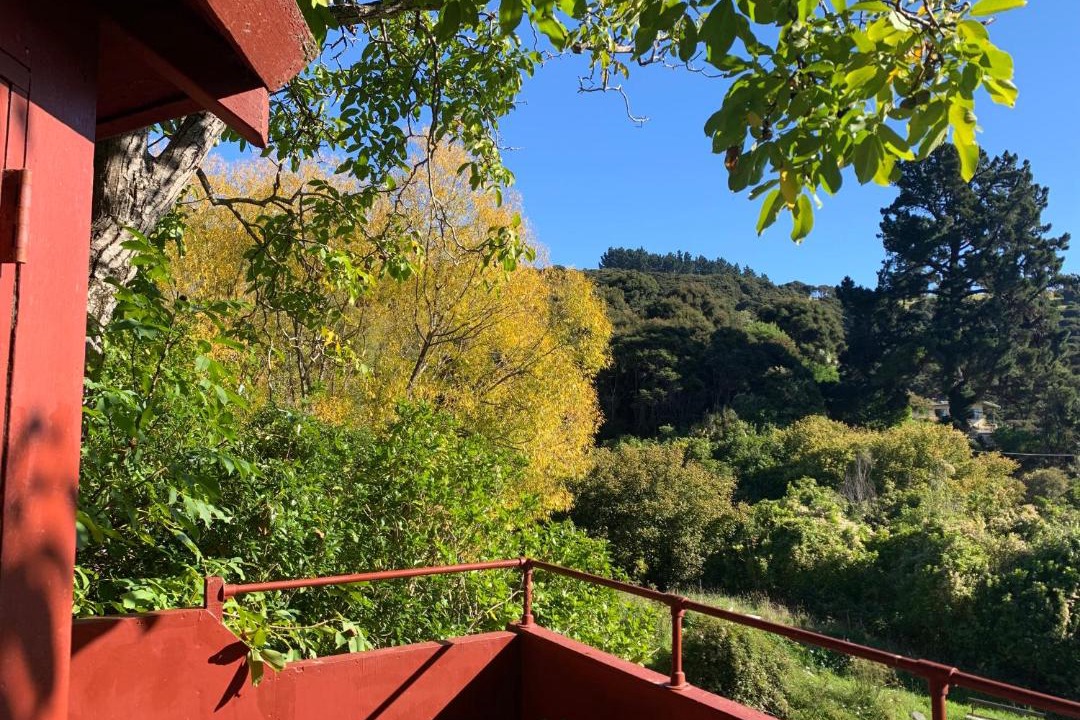 Photo of Others in Akaroa