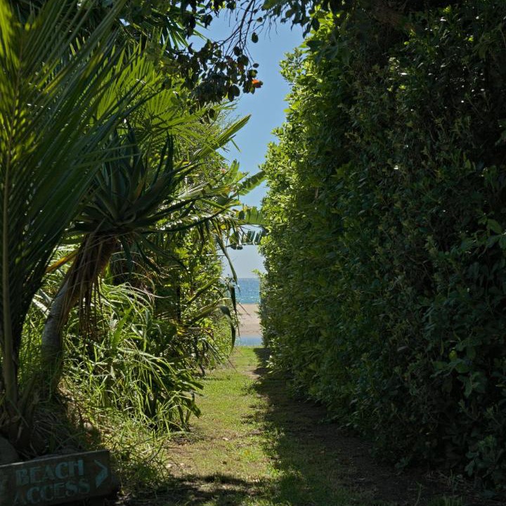 Photo of Others in Hot Water Beach