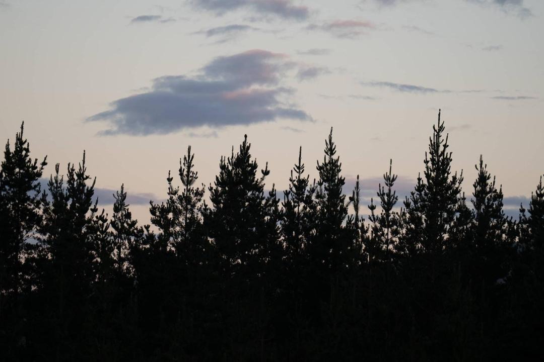 Photo of Others in Shannon