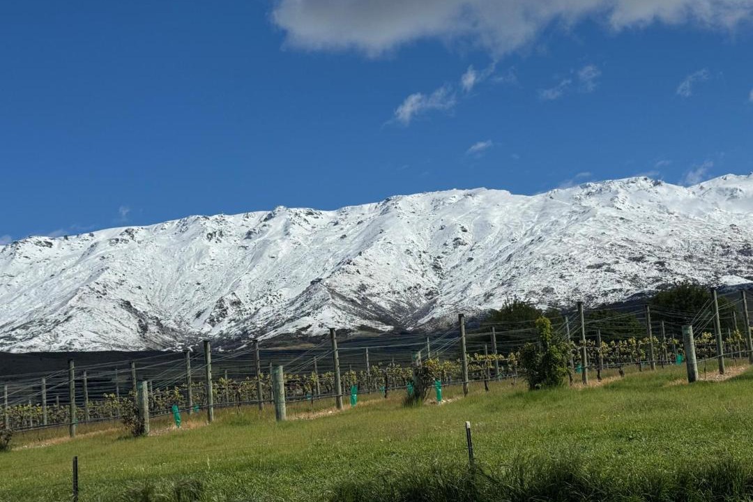 Photo of Others in Mount Pisa