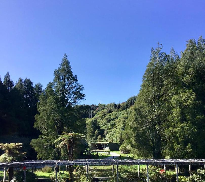 Photo of Others in Hokitika