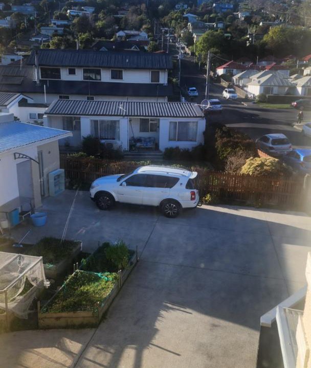 Photo of Others in Dunedin