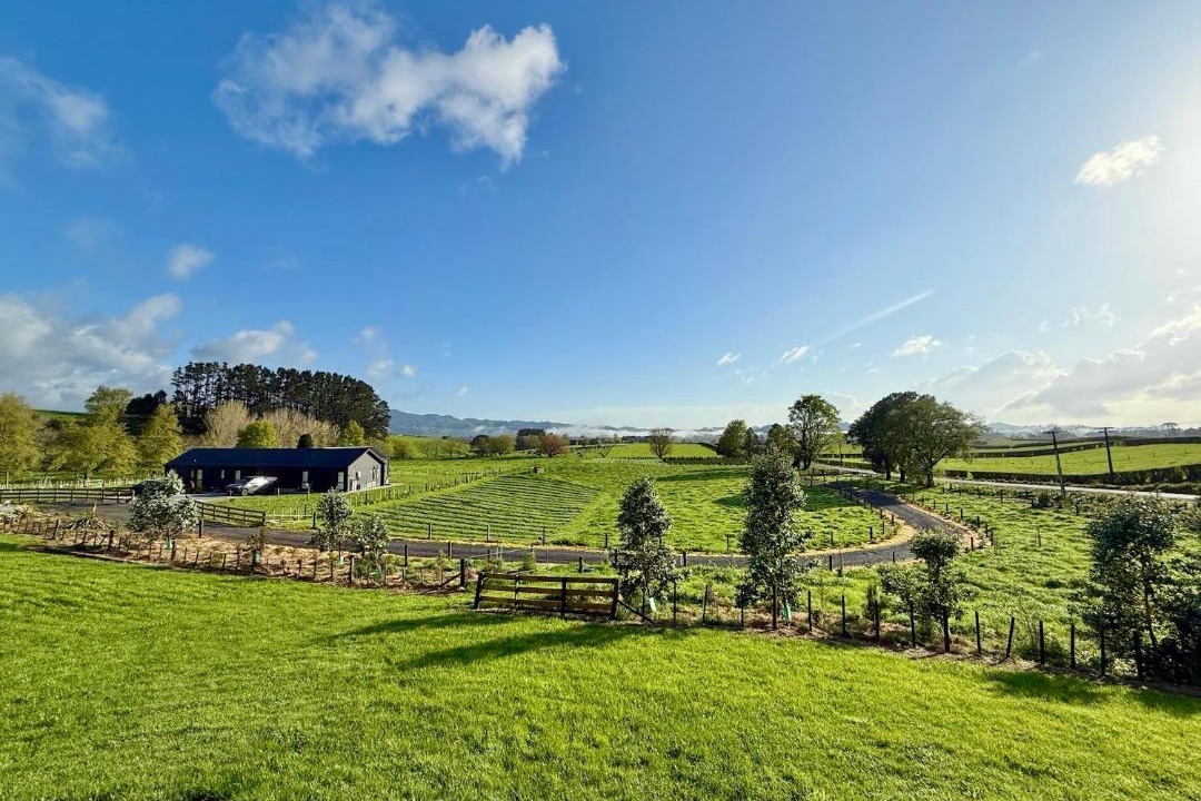 Photo of Others in Waihi