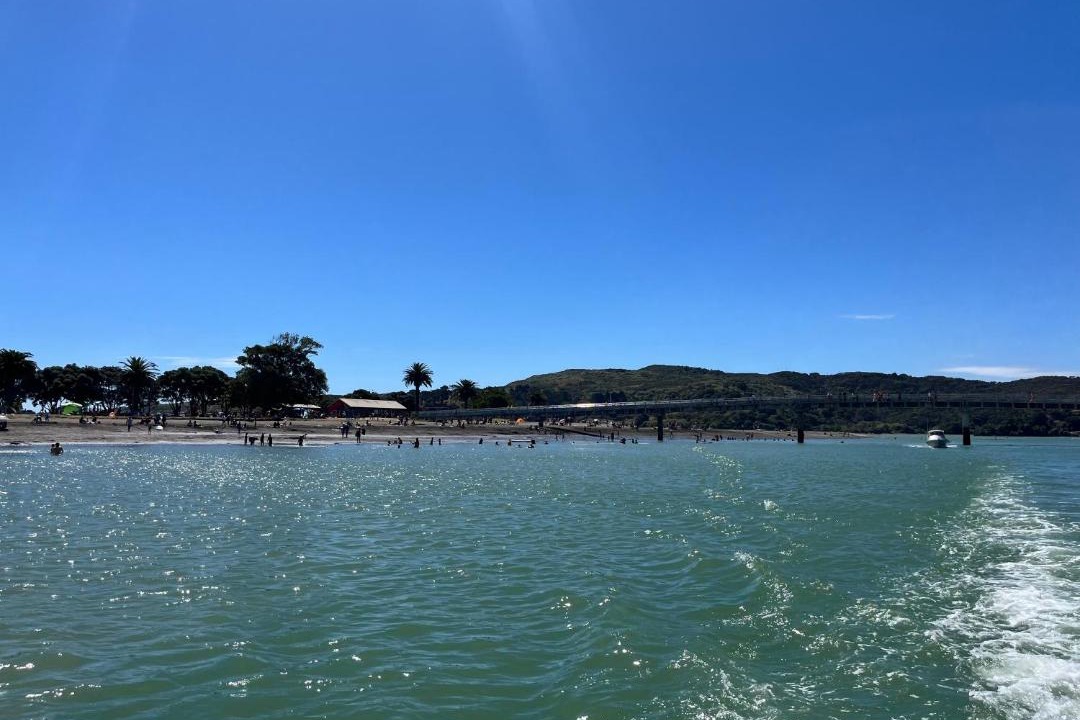 Photo of Others in Raglan