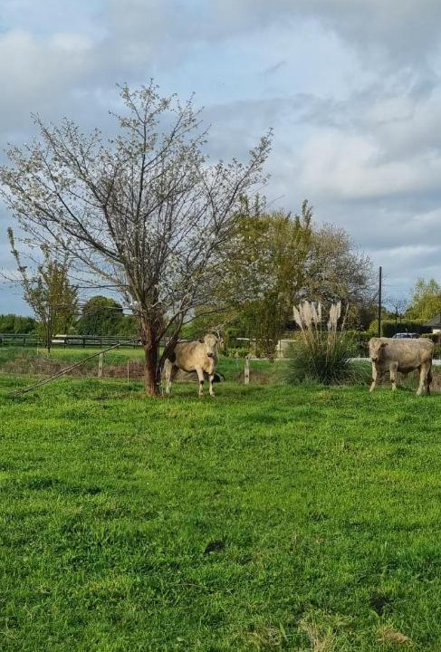 Photo of Others in Waikato District