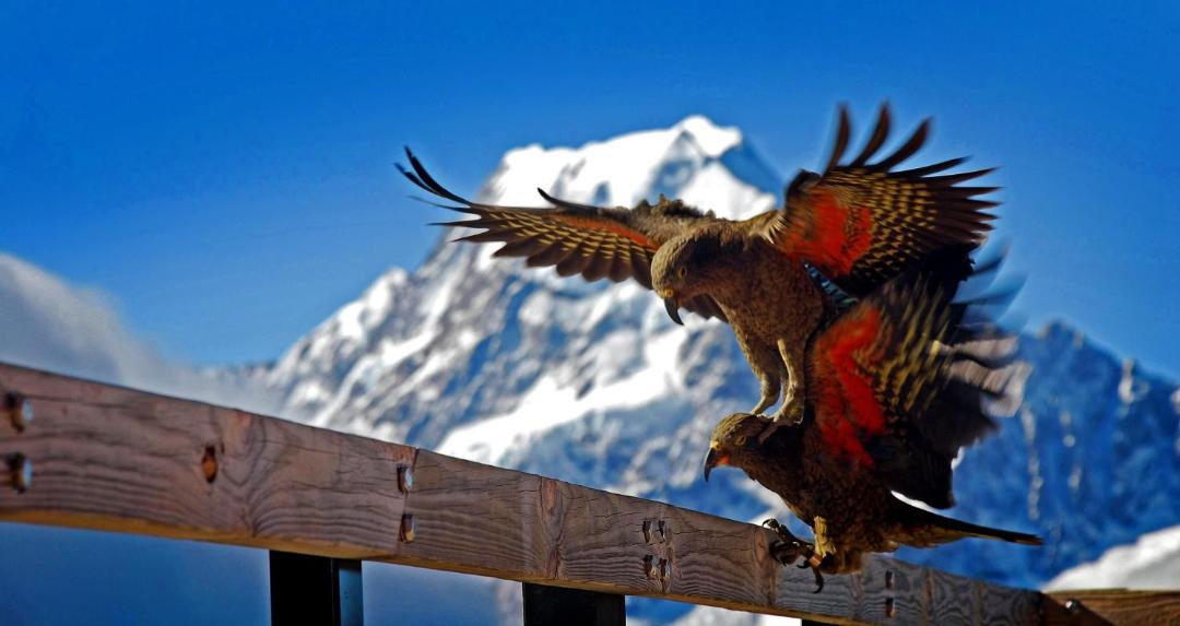 Photo of Others in Glentanner