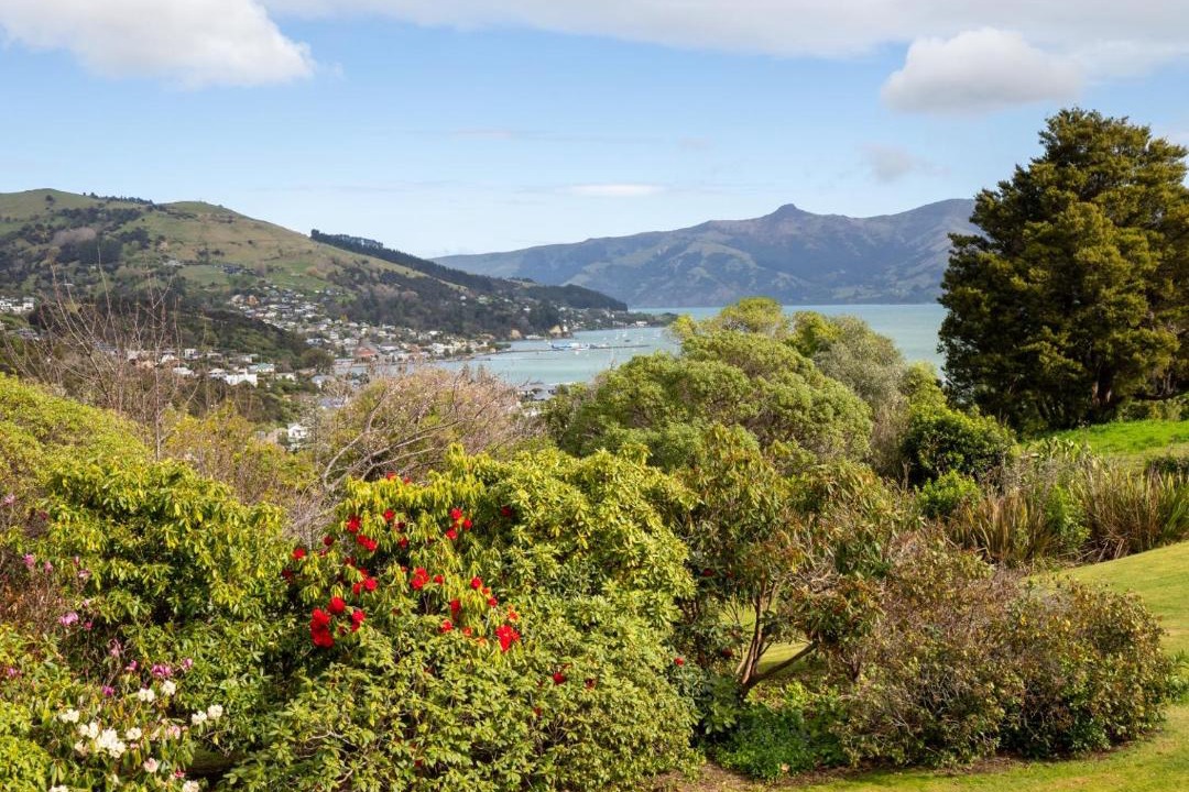 Photo of Others in Akaroa