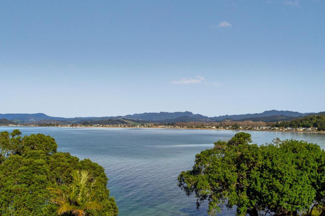 Photo of Others in Whitianga