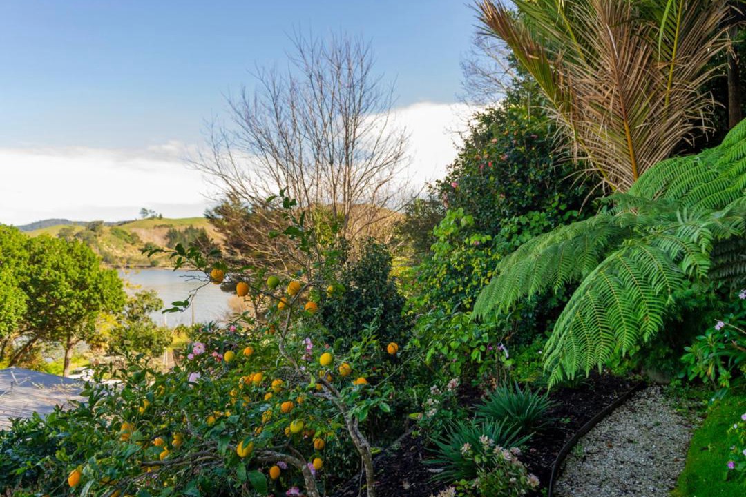 Photo of Others in Whitianga