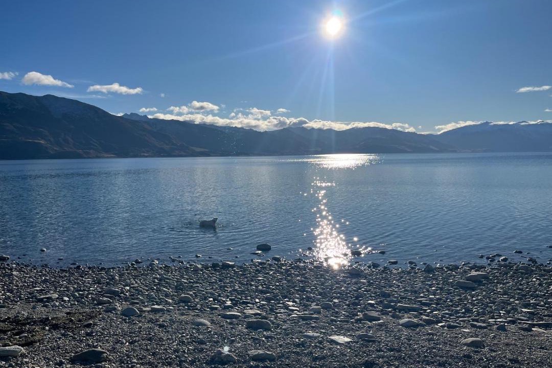 Photo of Others in Lake Hawea