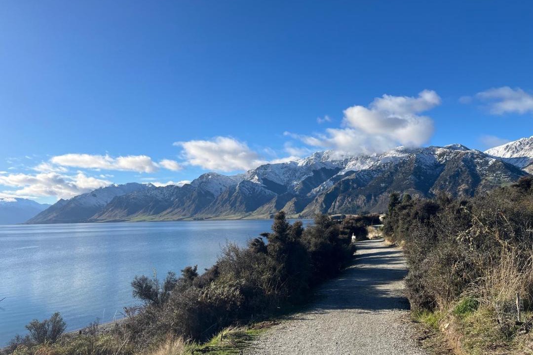 Photo of Others in Lake Hawea