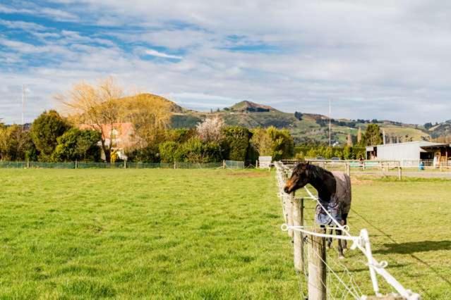Photo of Others in Mosgiel