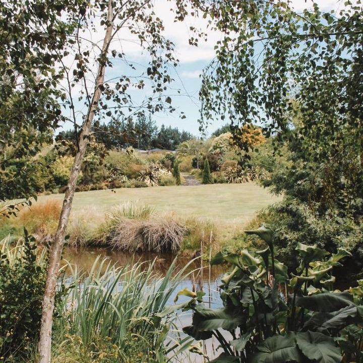 Photo of Others in Tasman