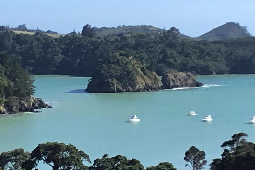 Photo of Others in Tutukaka