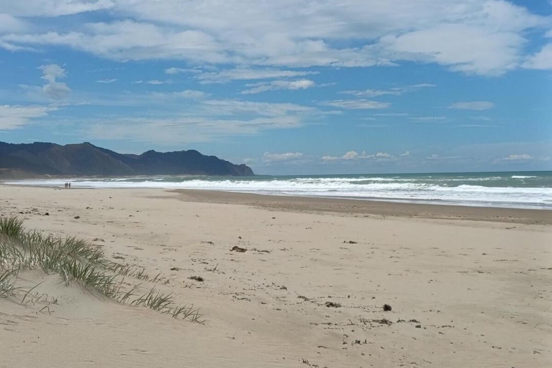 Photo of Others in Ocean Beach