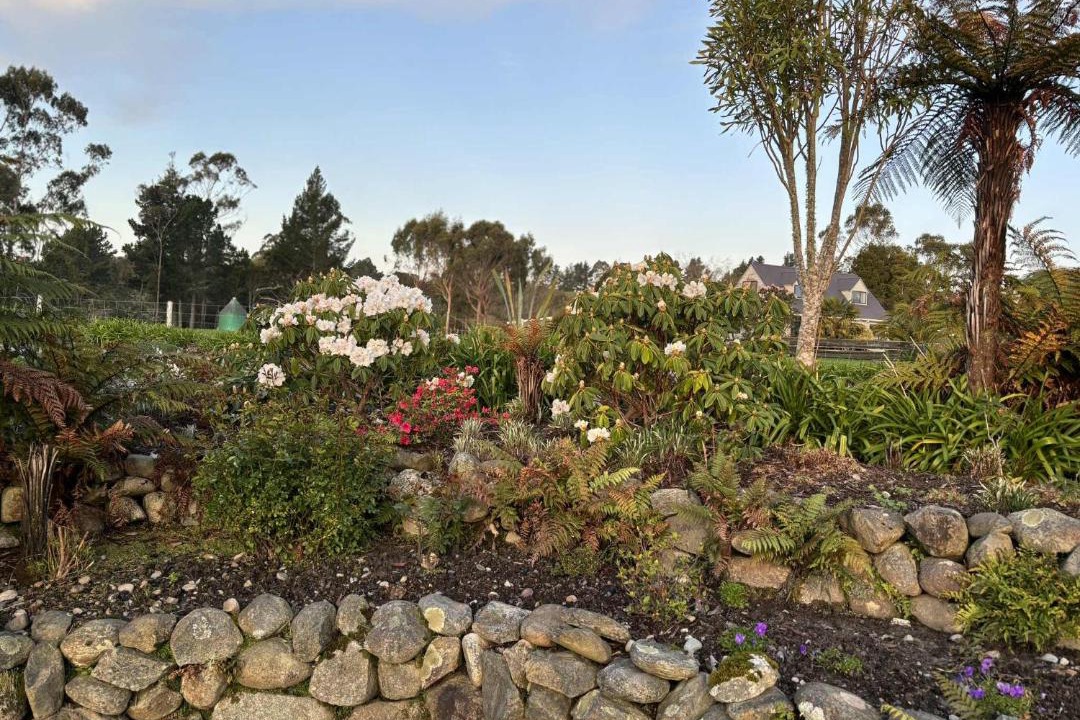 Photo of Others in Hokitika