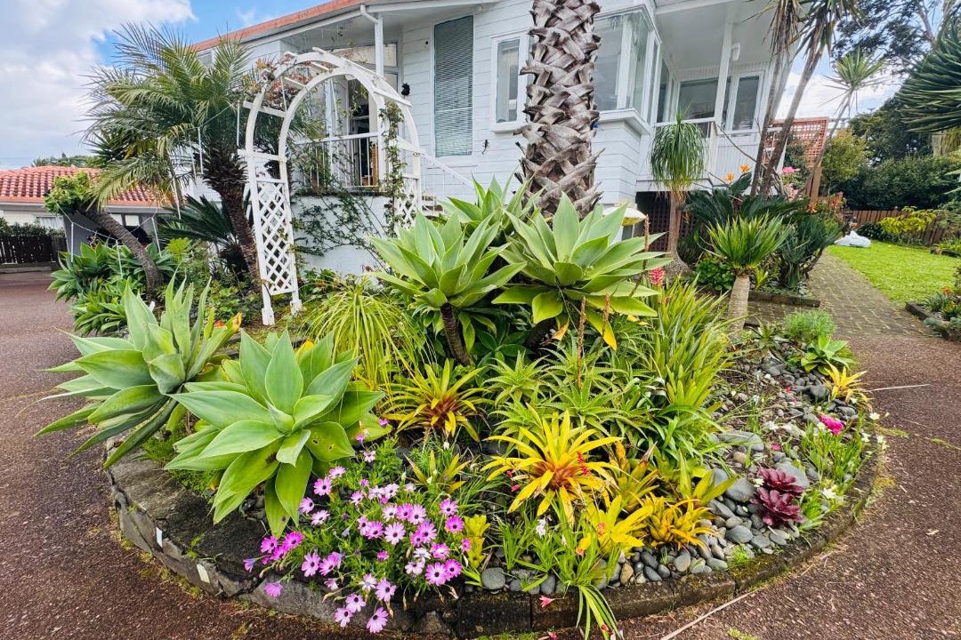 Photo of Others in Mount Roskill