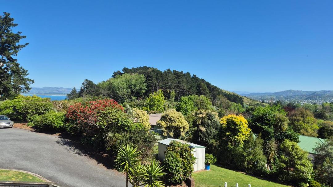 Photo of Others in Gisborne