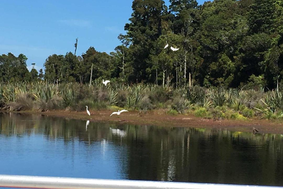 Photo of Others in Hokitika