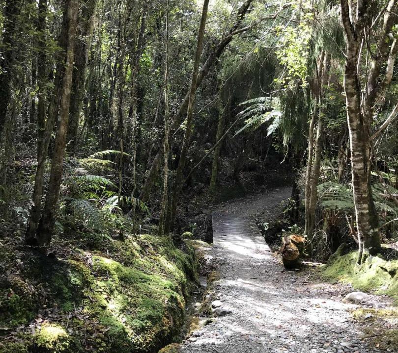 Photo of Others in Hokitika