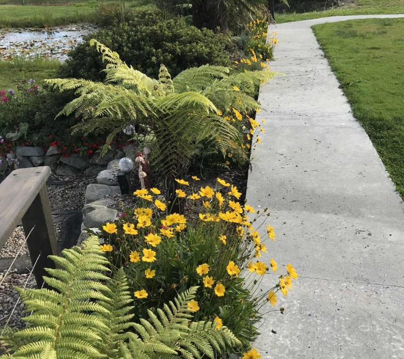 Photo of Others in Hokitika