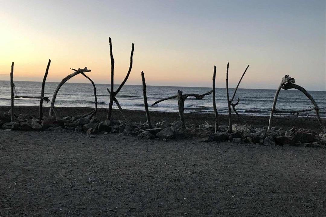 Photo of Others in Hokitika