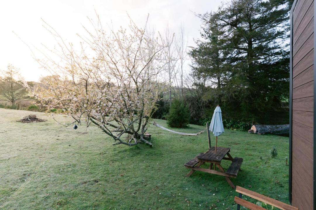Photo of Others in Waihi