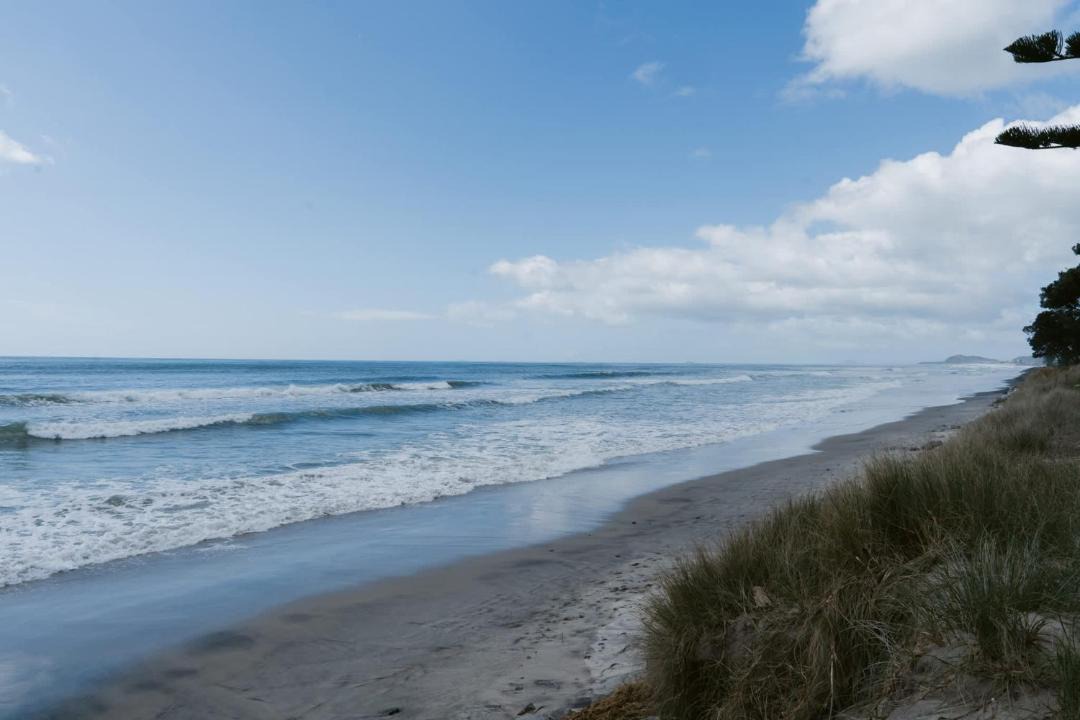 Photo of Others in Waihi
