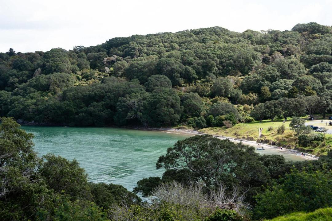 Photo of Others in Waihi