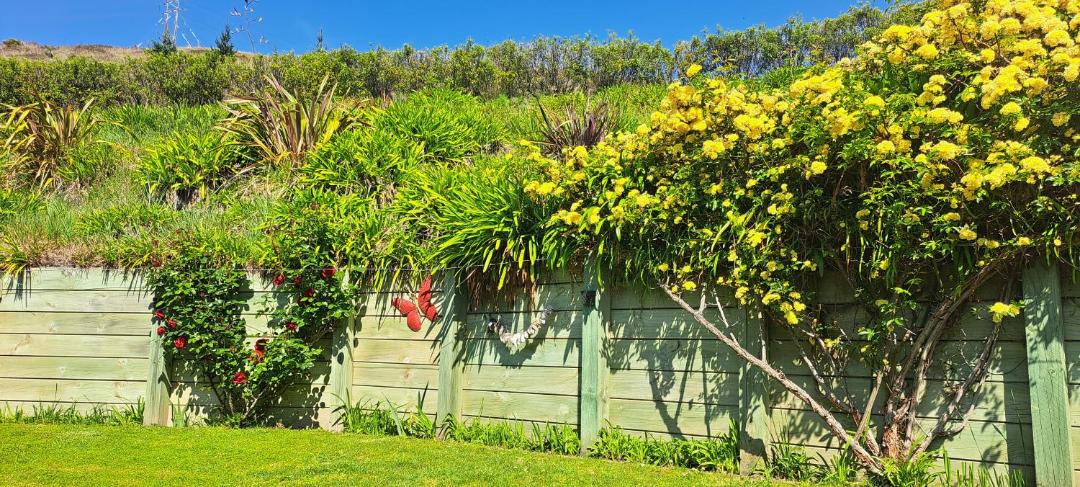 Photo of Outdoor in Napier