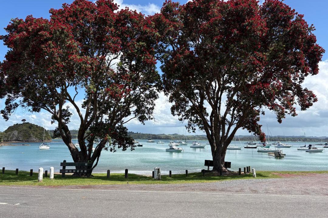 Photo of Others in Kerikeri