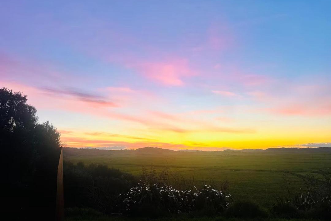 Photo of Others in Whangarei