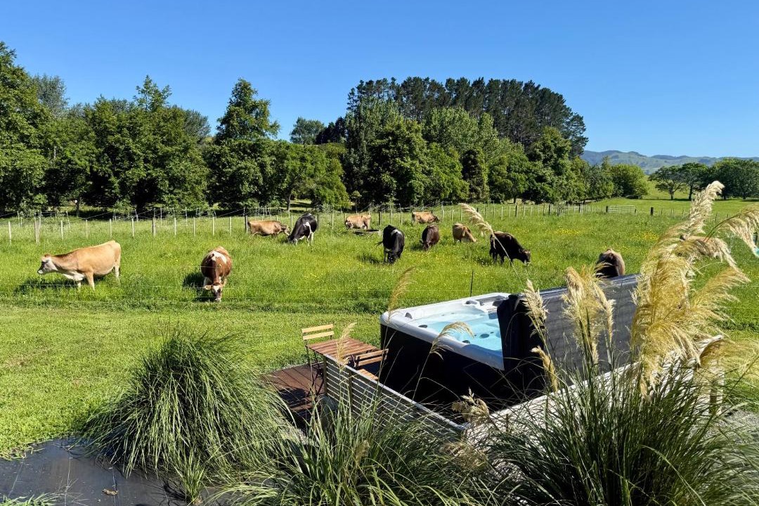 Photo of Others in Waihi