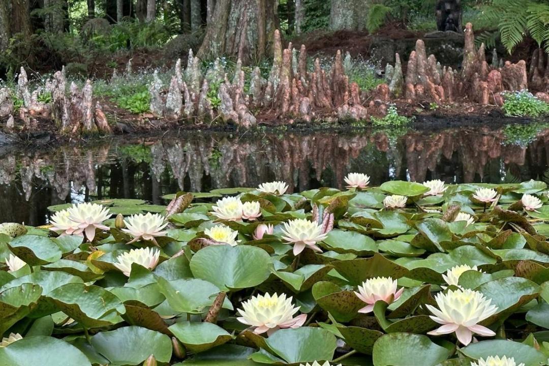 Photo of Others in Flat Bush