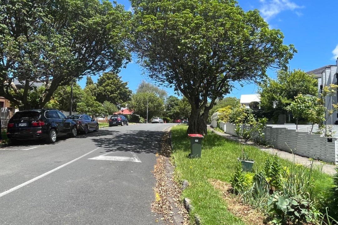 Photo of Others in Greenlane - Ellerslie
