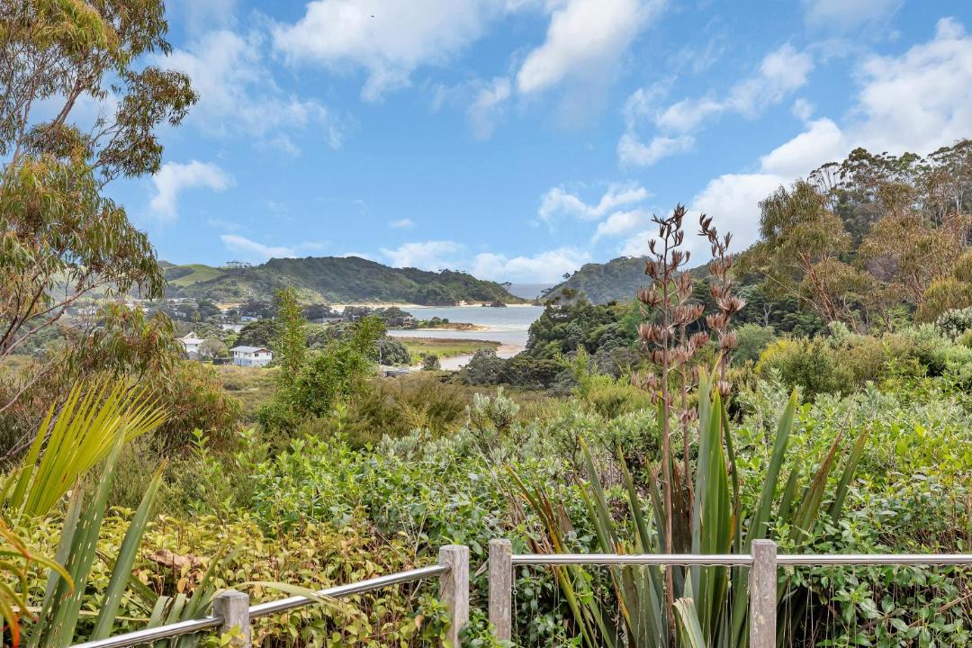 Photo of Others in Matapouri