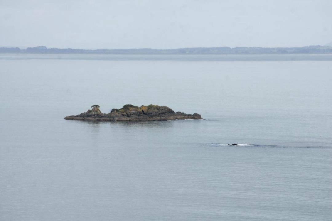 Photo of Others in Coopers Beach