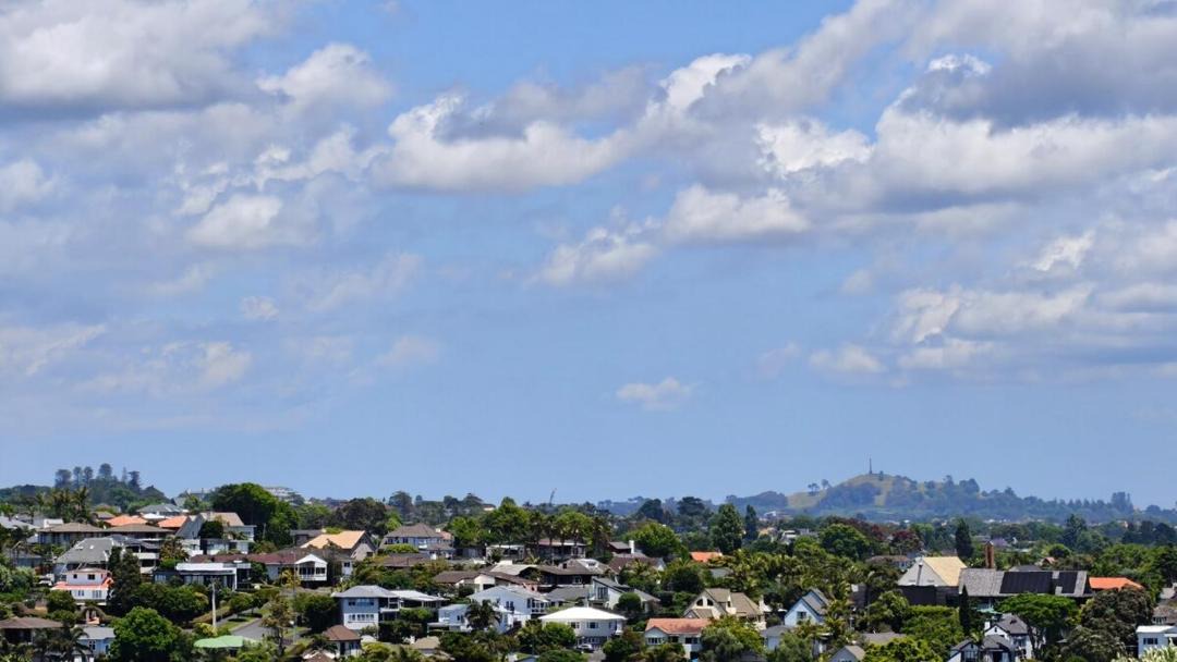 Photo of Others in St. Heliers