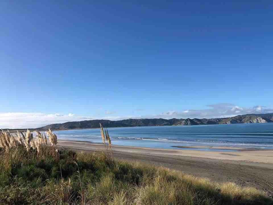Photo of Others in Mahia